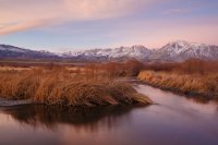 Long Exposure Brush River-2.jpg