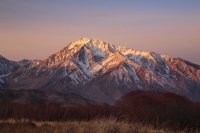 Mt. Tom Close Up.jpg