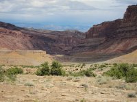 IMG_0232.JPG IMG_0232.JPG