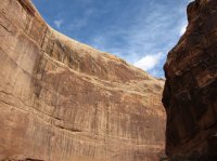 IMG_0290.JPG IMG_0290.JPG