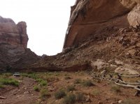 IMG_0303.JPG IMG_0303.JPG