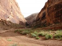 IMG_0304.JPG IMG_0304.JPG