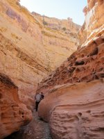 IMG_0331.JPG IMG_0331.JPG