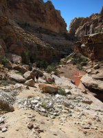 IMG_0353.JPG IMG_0353.JPG