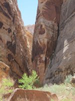 IMG_0355.JPG IMG_0355.JPG