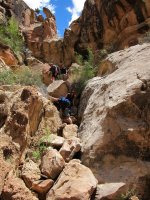 IMG_0405.JPG IMG_0405.JPG