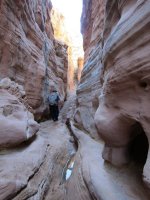 IMG_0339.JPG IMG_0339.JPG