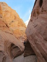 IMG_0444.JPG IMG_0444.JPG