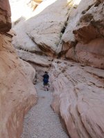 IMG_0445.JPG IMG_0445.JPG