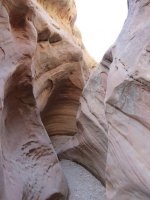 IMG_0447.JPG IMG_0447.JPG