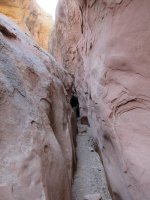 IMG_0455.JPG IMG_0455.JPG