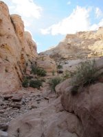 IMG_0462.JPG IMG_0462.JPG