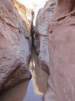 IMG_0468.JPG IMG_0468.JPG