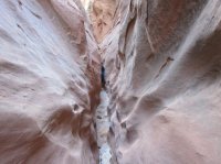 IMG_0491.JPG IMG_0491.JPG