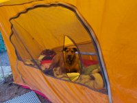 IMG_0298.jpg IMG_0298.jpg