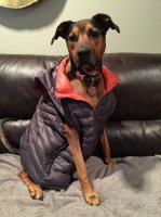 patina-1.JPG patina-1.JPG