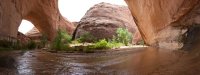 coyote-gulch-backpacking-22.jpg