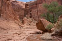 coyote-gulch-backpacking-26.jpg