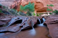 coyote-gulch-backpacking-32.jpg