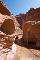 coyote-gulch-backpacking-36.jpg