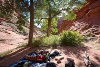 coyote-gulch-backpacking-47.jpg