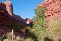 coyote-gulch-backpacking-48.jpg