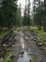 wind river range 20130916 019.JPG