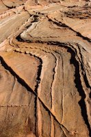 Coyote South-106.jpg