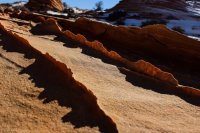 Coyote South-110.jpg