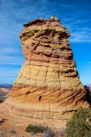 Coyote South-117.jpg