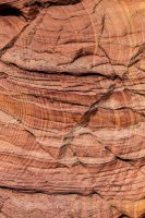 Coyote South-119.jpg