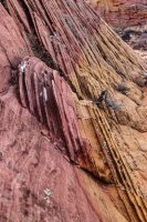 Coyote South-120.jpg