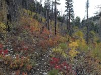 sawtoothsseptember2013 685.JPG