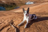 lake-powell-solo-5.jpg lake-powell-solo-5.jpg