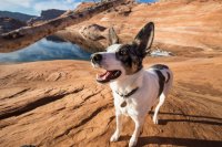 lake-powell-solo-10.jpg lake-powell-solo-10.jpg