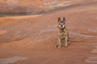 lake-powell-solo-18.jpg lake-powell-solo-18.jpg