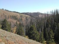 yellowstonehike 018.jpg