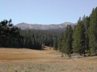 yellowstonehike 022.jpg