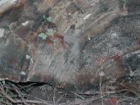 yellowstonehike 097.jpg