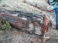 yellowstonehike 107.jpg