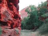 DSCN3556.JPG