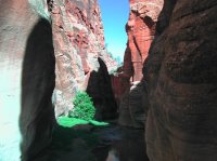 DSCN3564.JPG