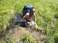 Yellowstone July 2012 334.JPG