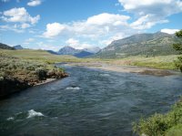 Yellowstone July 2012 650.JPG