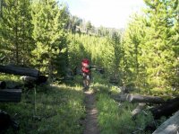 Yellowstone July 2012 340.JPG