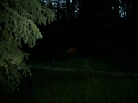 Yellowstone July 2012 341.JPG