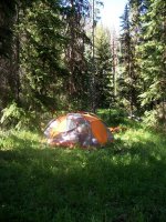 Yellowstone July 2012 350.JPG