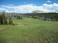 Yellowstone July 2012 376.JPG
