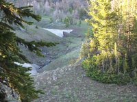 Yellowstone July 2012 416.JPG