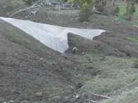 Yellowstone July 2012 418.JPG